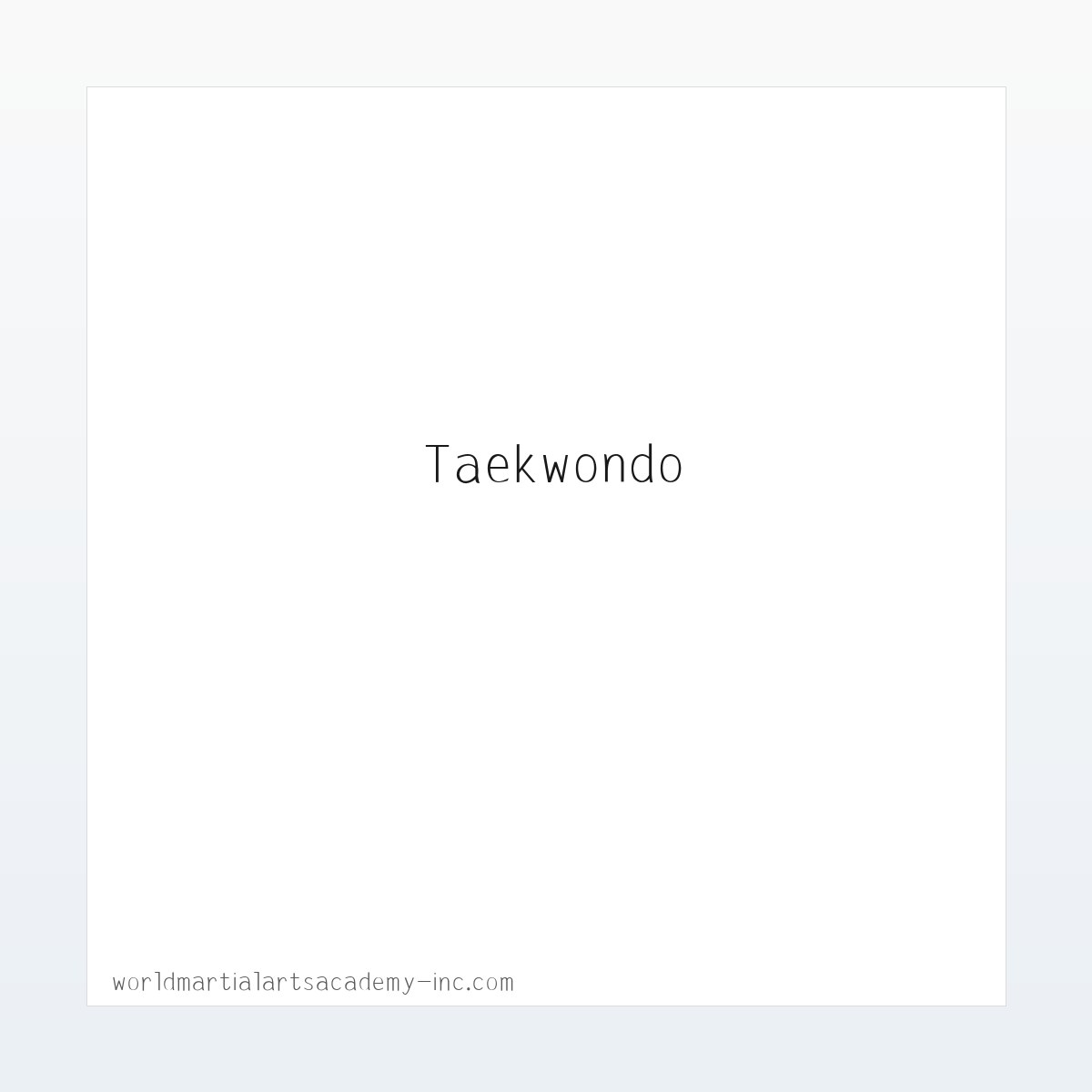 SUMMER CAMP | WMAA Taekwondo 方图