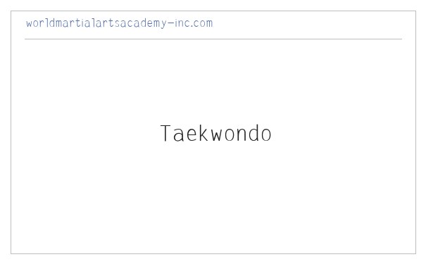 SUMMER CAMP | WMAA Taekwondo 缩略图